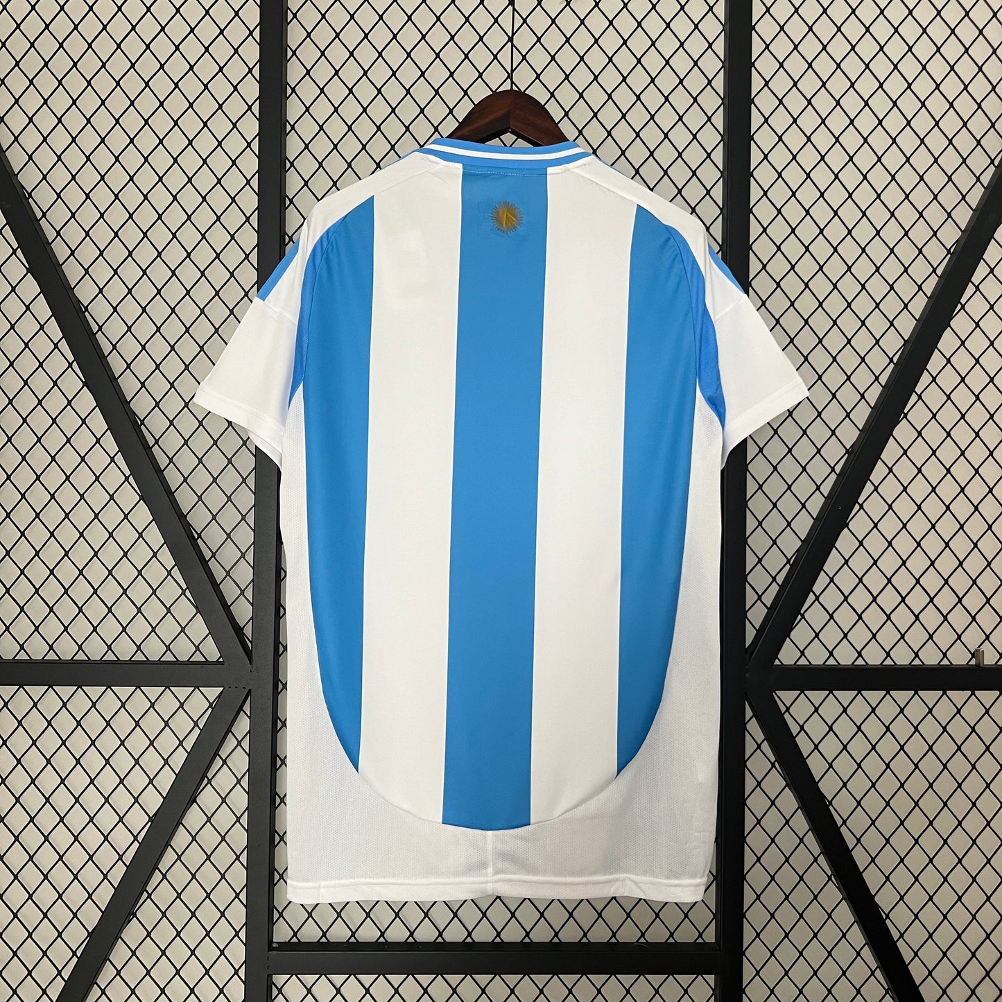 ARGENTINE Maillot Domicile 24/25