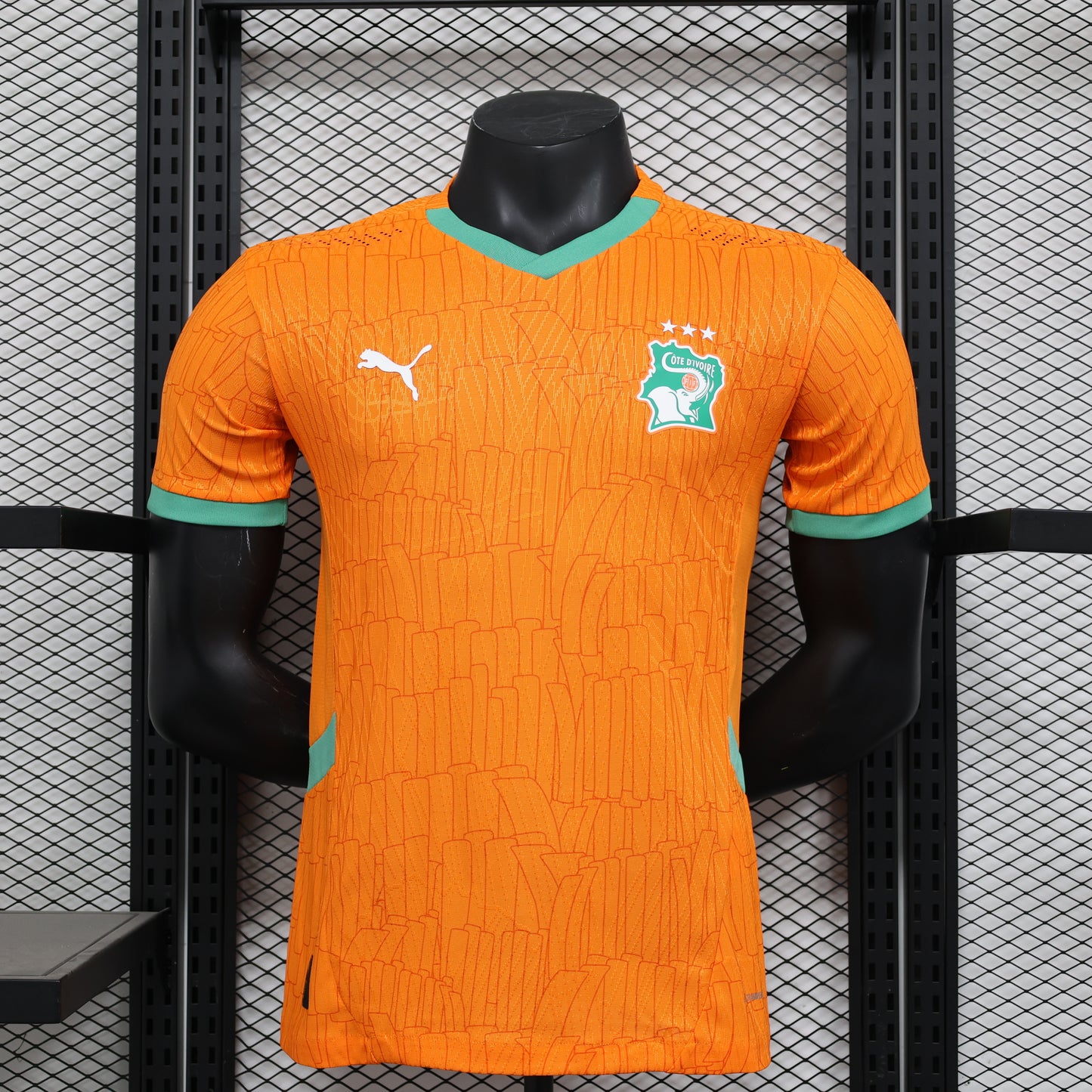 CÔTE D’IVOIRE Maillot Domicile – Version Player 25/26